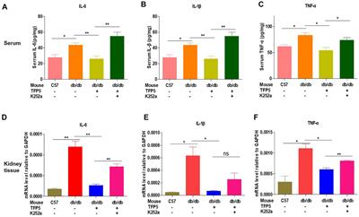 TFP5-Mediated CDK5 Activity Inhibition Improves Diabetic Nephropathy via NGF/Sirt1 Regulating Axis